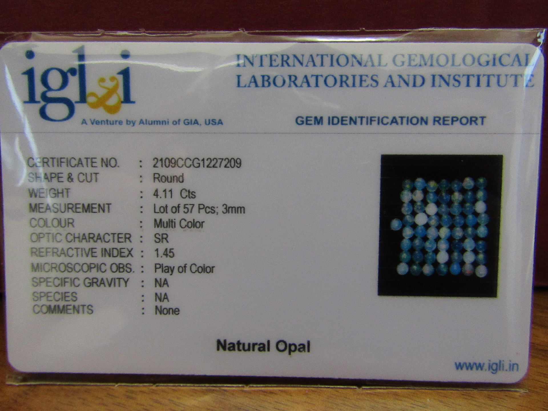 IGL&I Certified - Natural Ethiopian Opals - 4.11 Carats - 57 Pieces - Average retail value £2,089. - Image 2 of 3