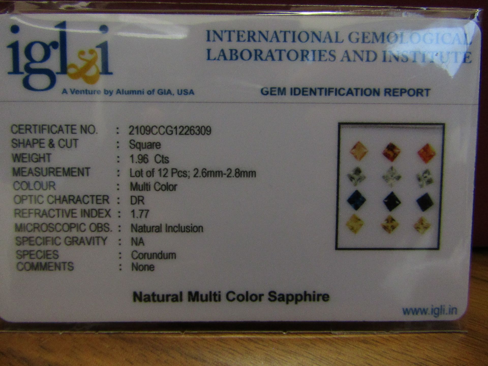 IGL&I Certified - Natural Srilanka Sapphires - 1.96 Carats - (Untreated Unheated) - 12 pieces - - Image 2 of 3