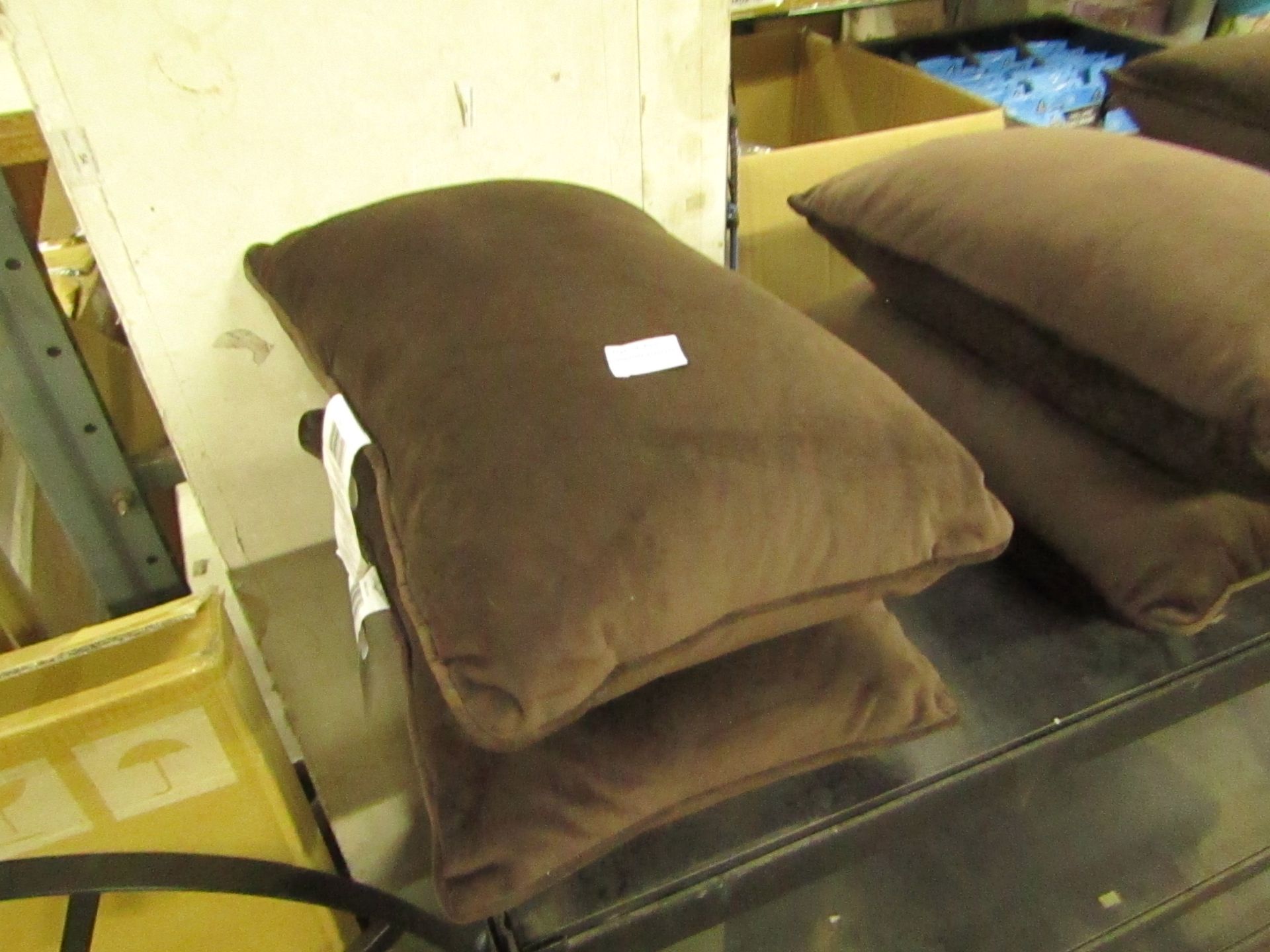Costco set of 2x cushions velvet, no major damage.