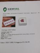 IGL&I Certified - Natural Rubies - (Untreated Unheated) 1.62 Carats - 25 Pieces - Square cut -