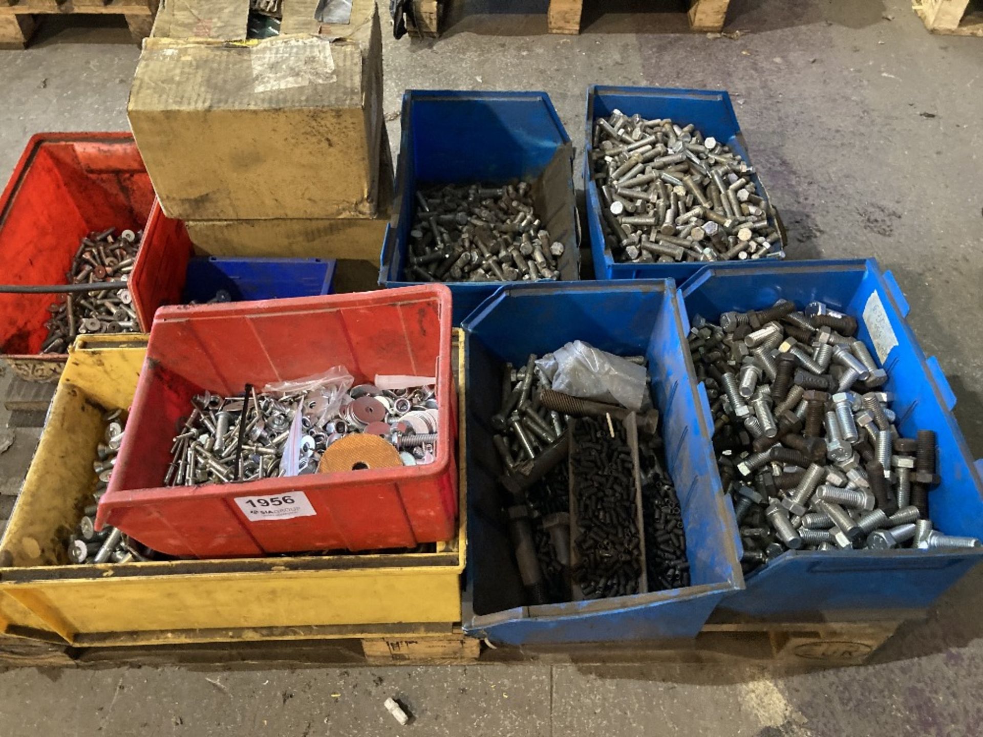 Large quantity of various sized bolts and screws