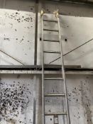 13-Rung Aluminium Ladder