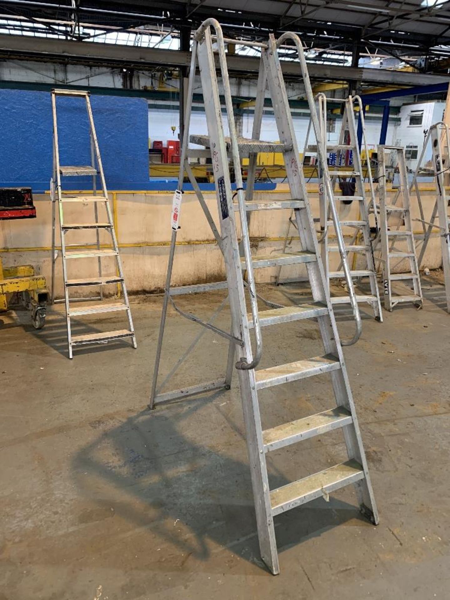 7 Rung Ramsey Ladders Step Ladder