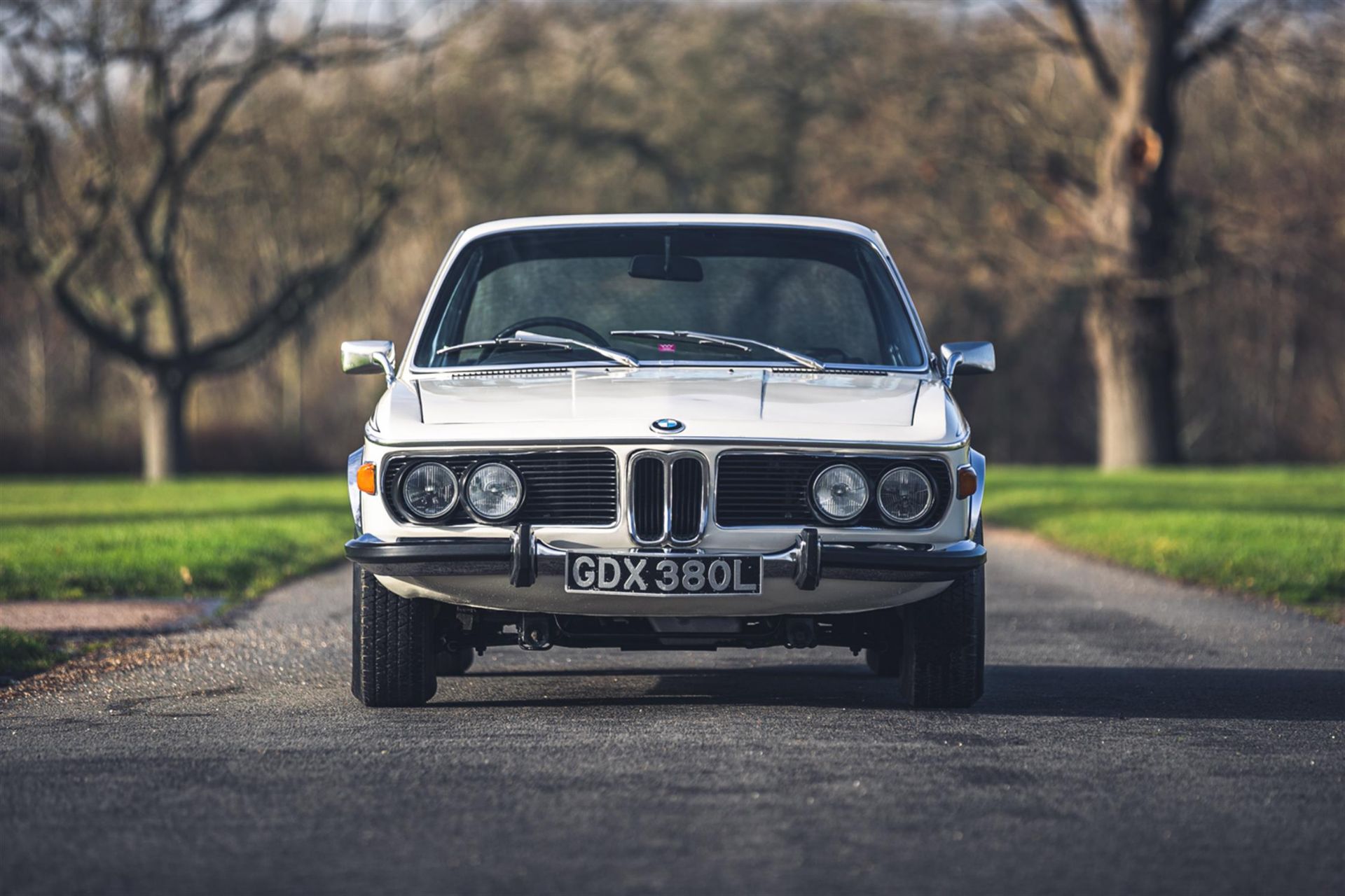 1973 BMW 3.0 CSL - Image 6 of 10