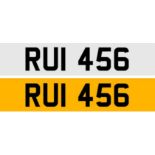 Registration Number RUI 456