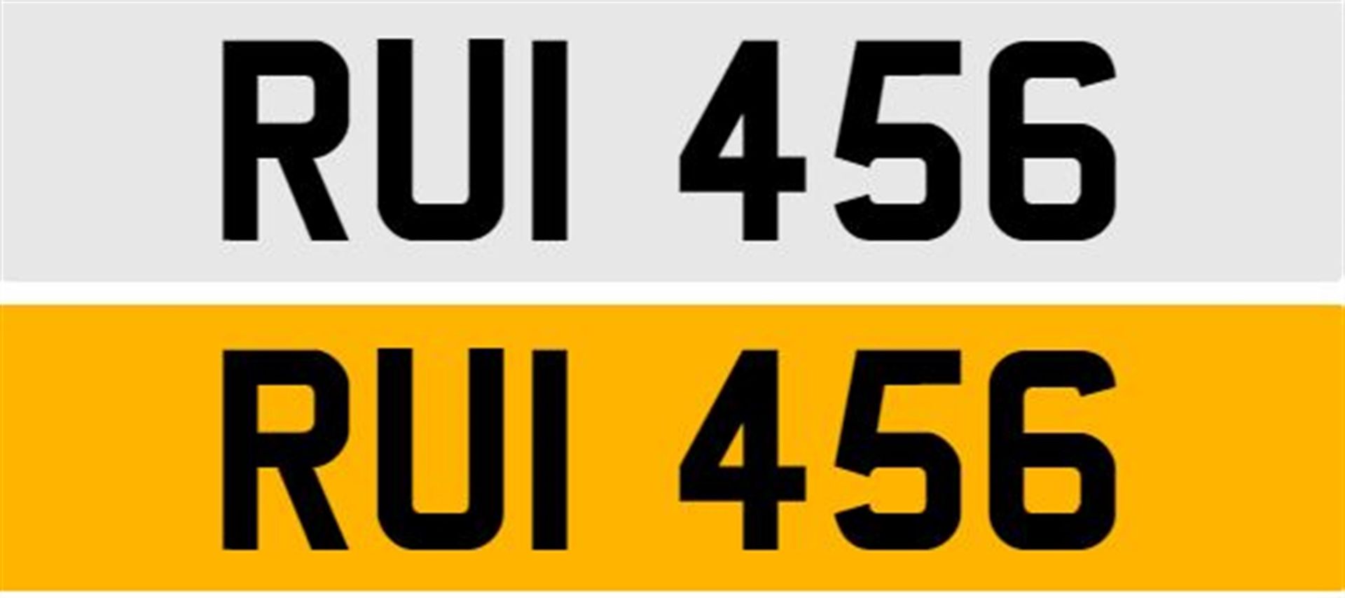 Registration Number RUI 456