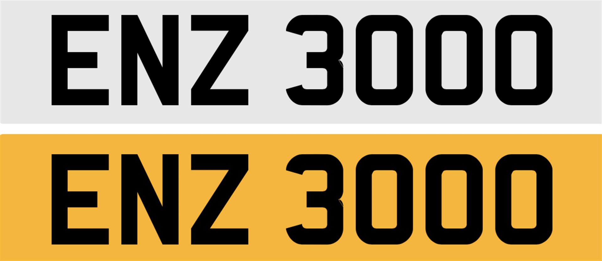 Registration Number ENZ 3000