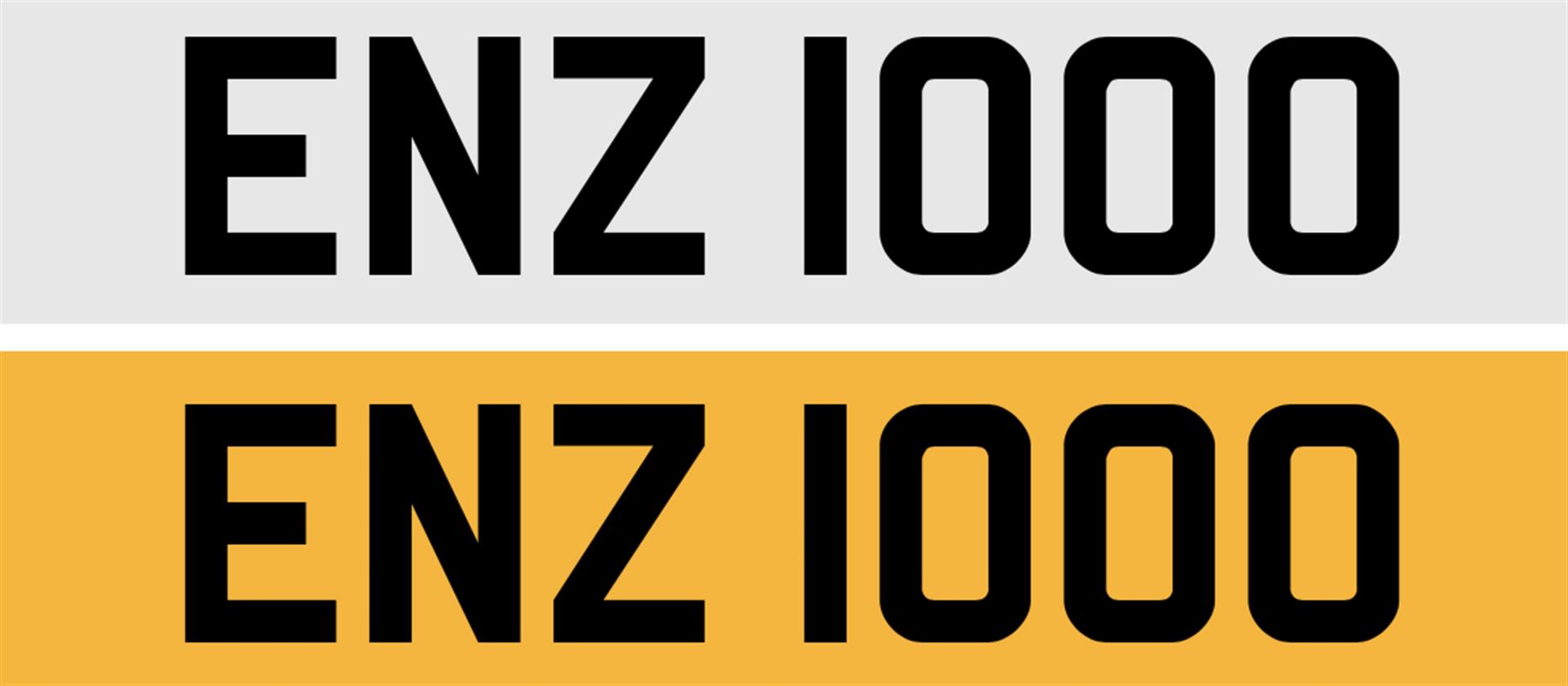 Registration Number ENZ 1000