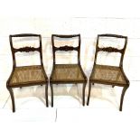 Three Regency sabre-legged Nelson back cane seat dining chairs.