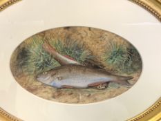 Pair of oval gilt framed watercolours by James Hill