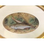 Pair of oval gilt framed watercolours by James Hill