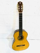 Chappell Bio acoustic guitar with a soft case.