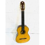 Chappell Bio acoustic guitar with a soft case.