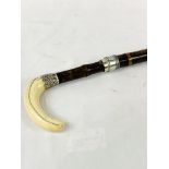 Bamboo walking stick with bone handle and hallmarked silver ferrule