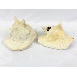 2 large pink pearlescent conch shells, one prepared with holes to become a lamp