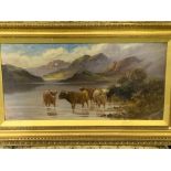 Pair of gilt coloured framed oils on canvas of Highland Cattle, signed F Walters