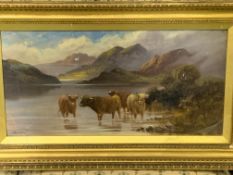 Pair of gilt coloured framed oils on canvas of Highland Cattle, signed F Walters