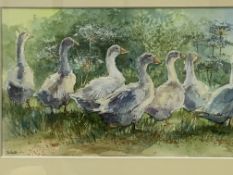 Three framed and glazed watercolours by Wendy Jelbert