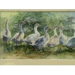 Three framed and glazed watercolours by Wendy Jelbert