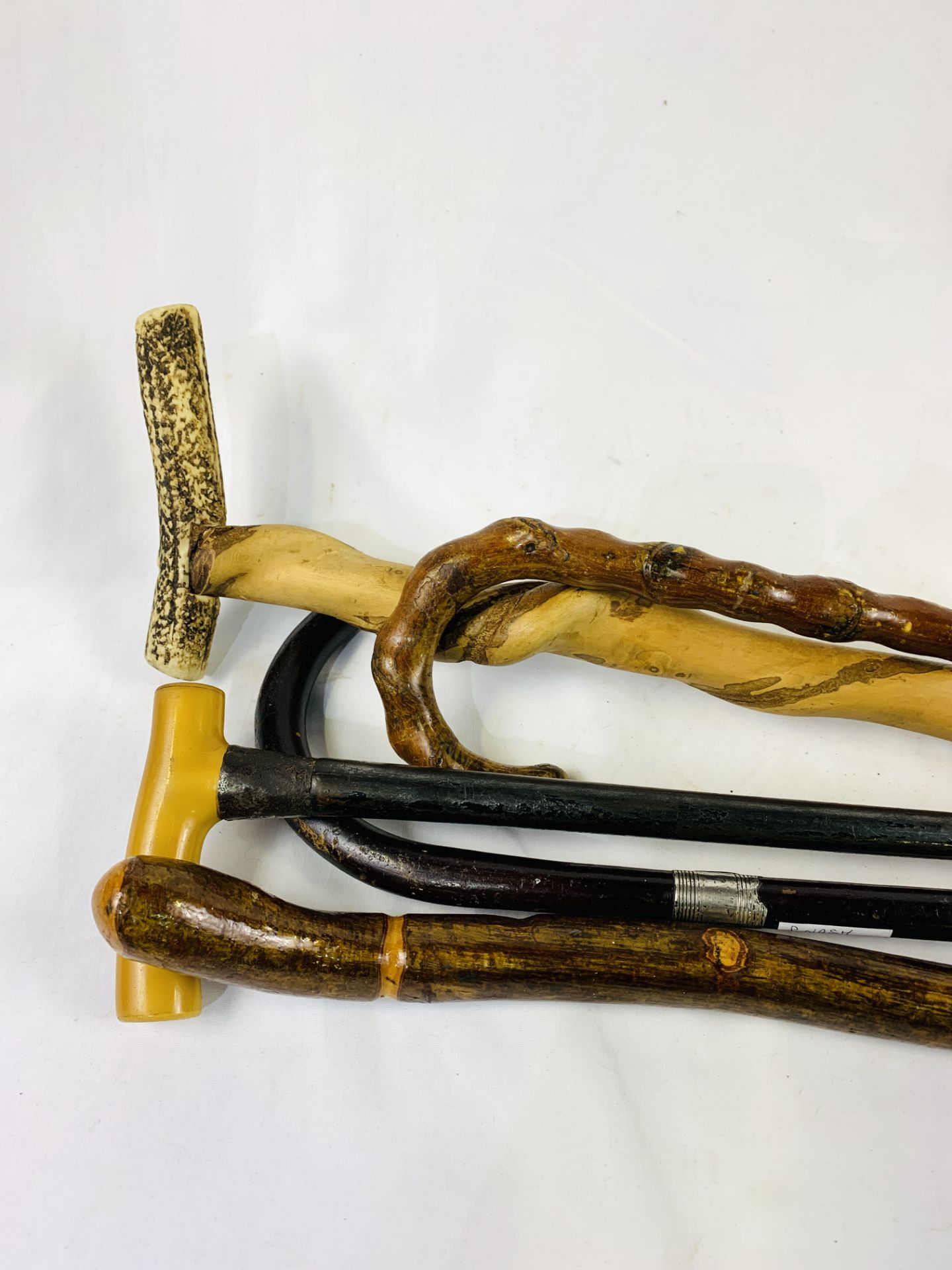 Five walking sticks, including Blackthorn and Hazel, one with silver ferrule. - Image 3 of 4