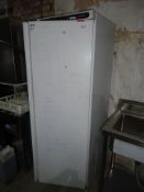 Polar CD613 upright single door freezer