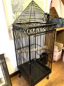 Modern large iron bird cage