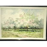 Three framed and glazed watercolours signed Diana M Snagge