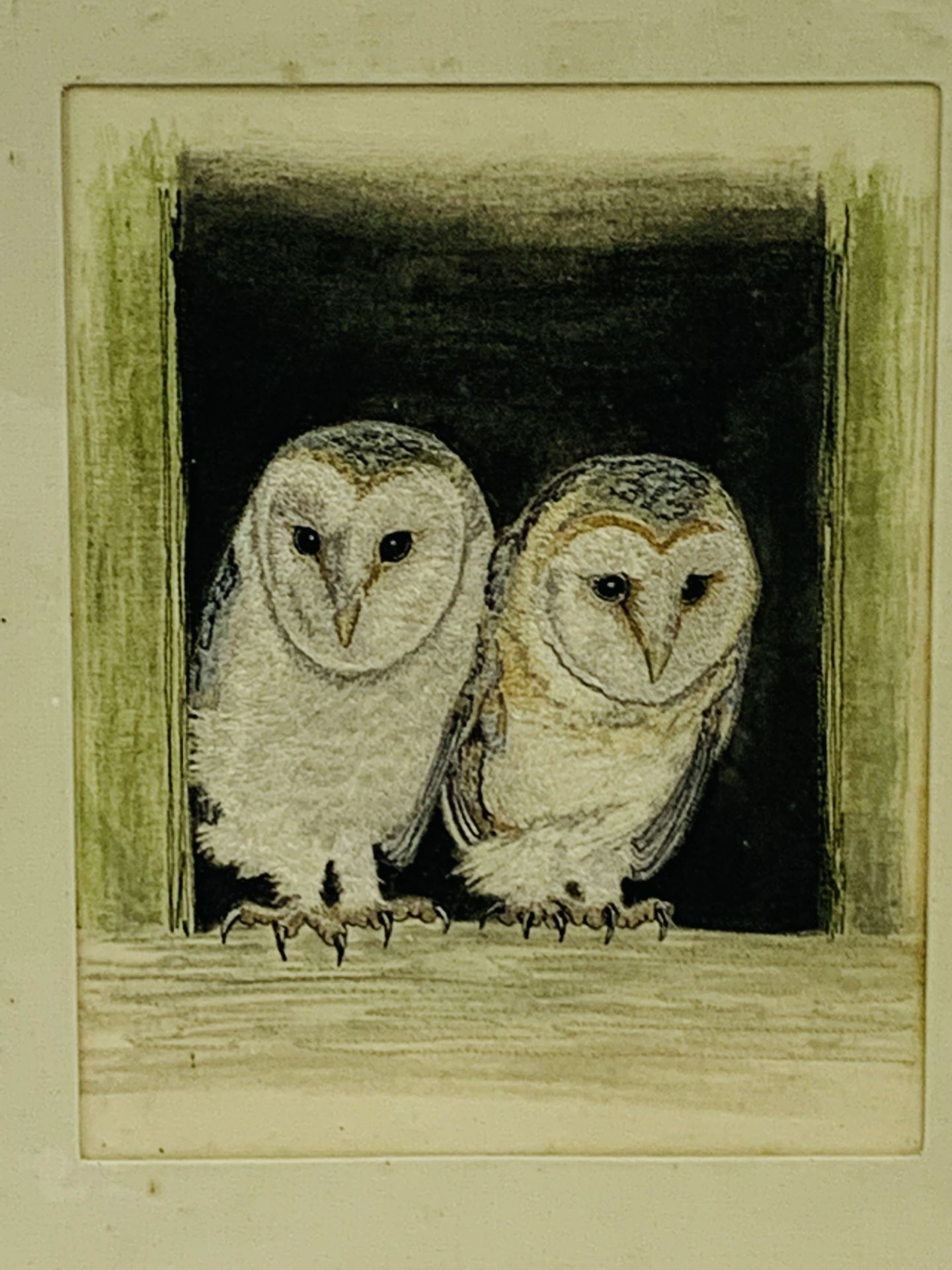 Watercolour and embroidery "Fledgling Barn Owls" by Cathy Silvester, and a print "Barn Owl II",