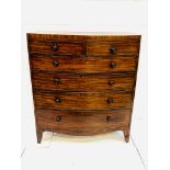 Early 19th Century mahogany bow-fronted chest of drawers