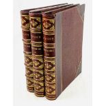 Lysons's Berkshire in three volumes, dated 1824