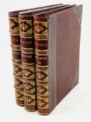 Lysons's Berkshire in three volumes, dated 1824