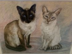 Four paintings of cats