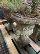 Pair of filled decorative concrete urns on stands.