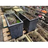 Two filled large ceramic style rectangular planters.