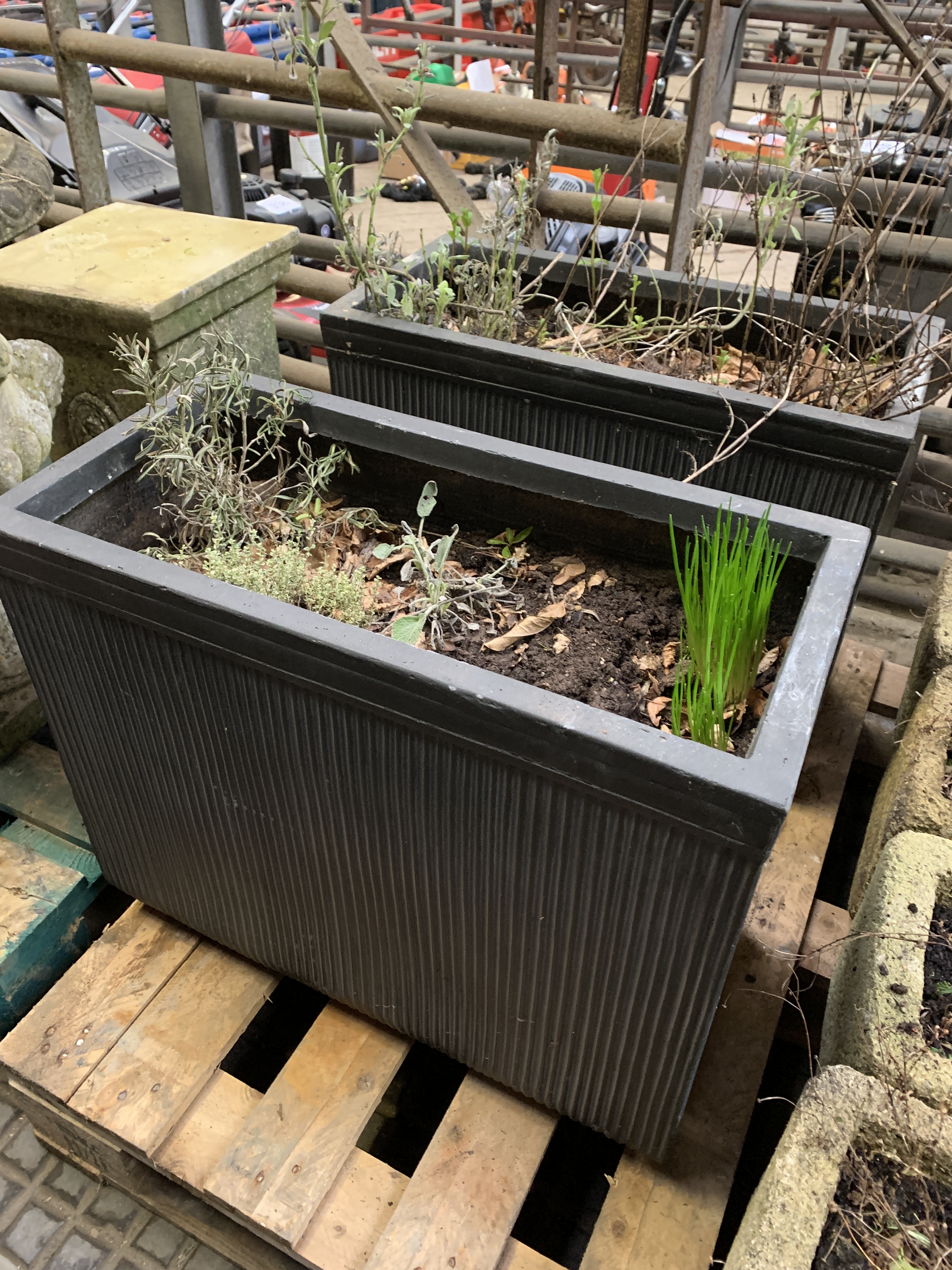 Two filled large ceramic style rectangular planters. - Image 4 of 4