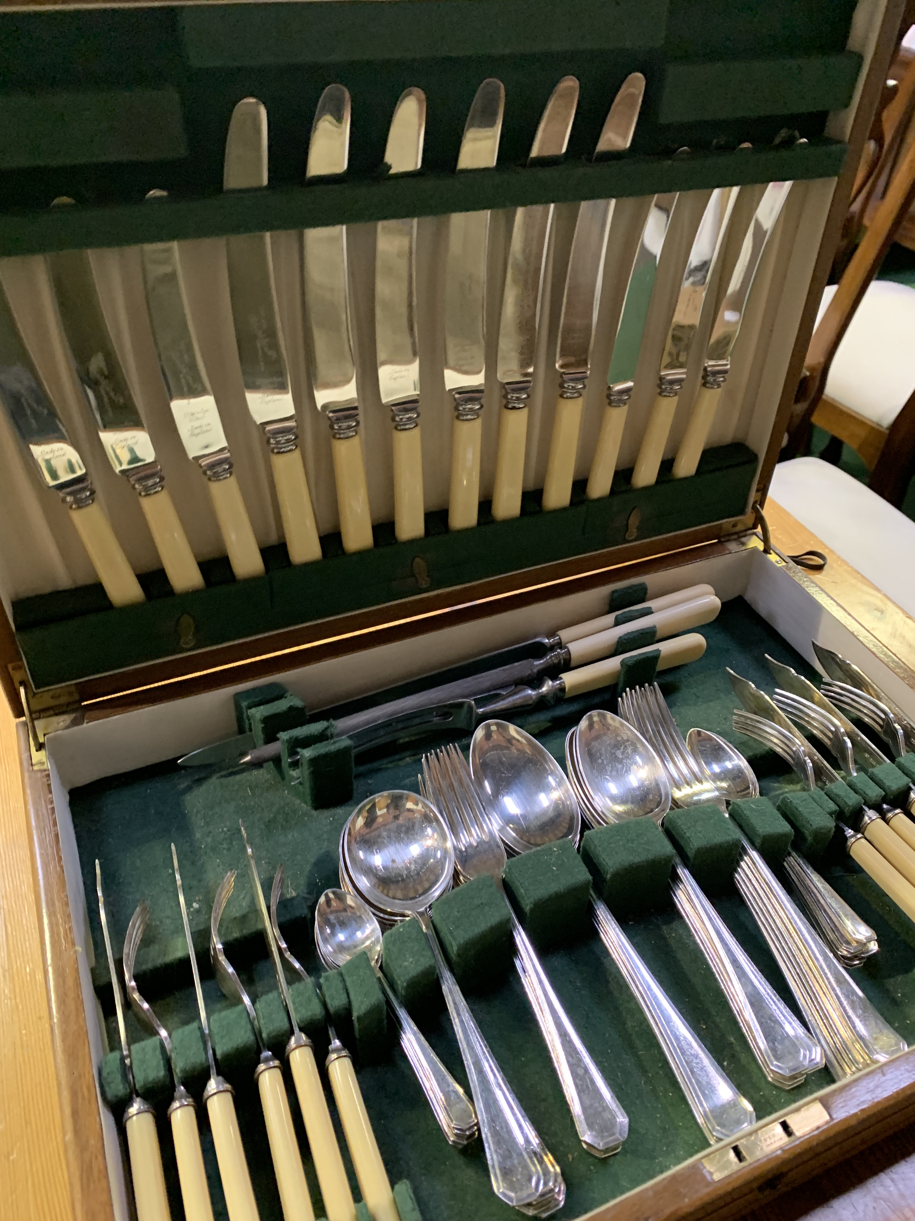 Canteen of six place setting silver plate and bone handled cutlery