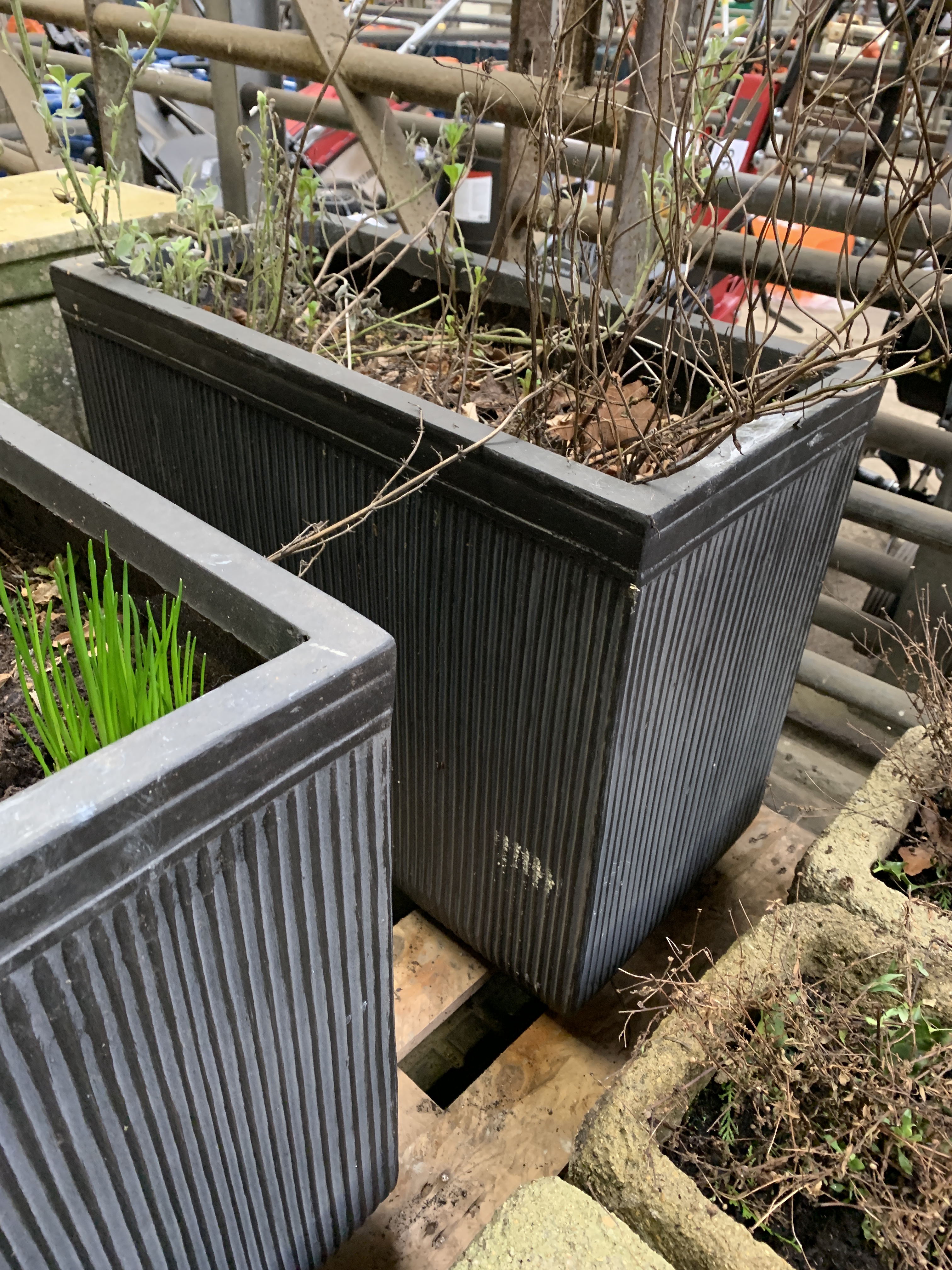 Two filled large ceramic style rectangular planters. - Image 3 of 4