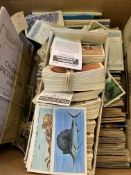 Over 80 Cigarette card albums