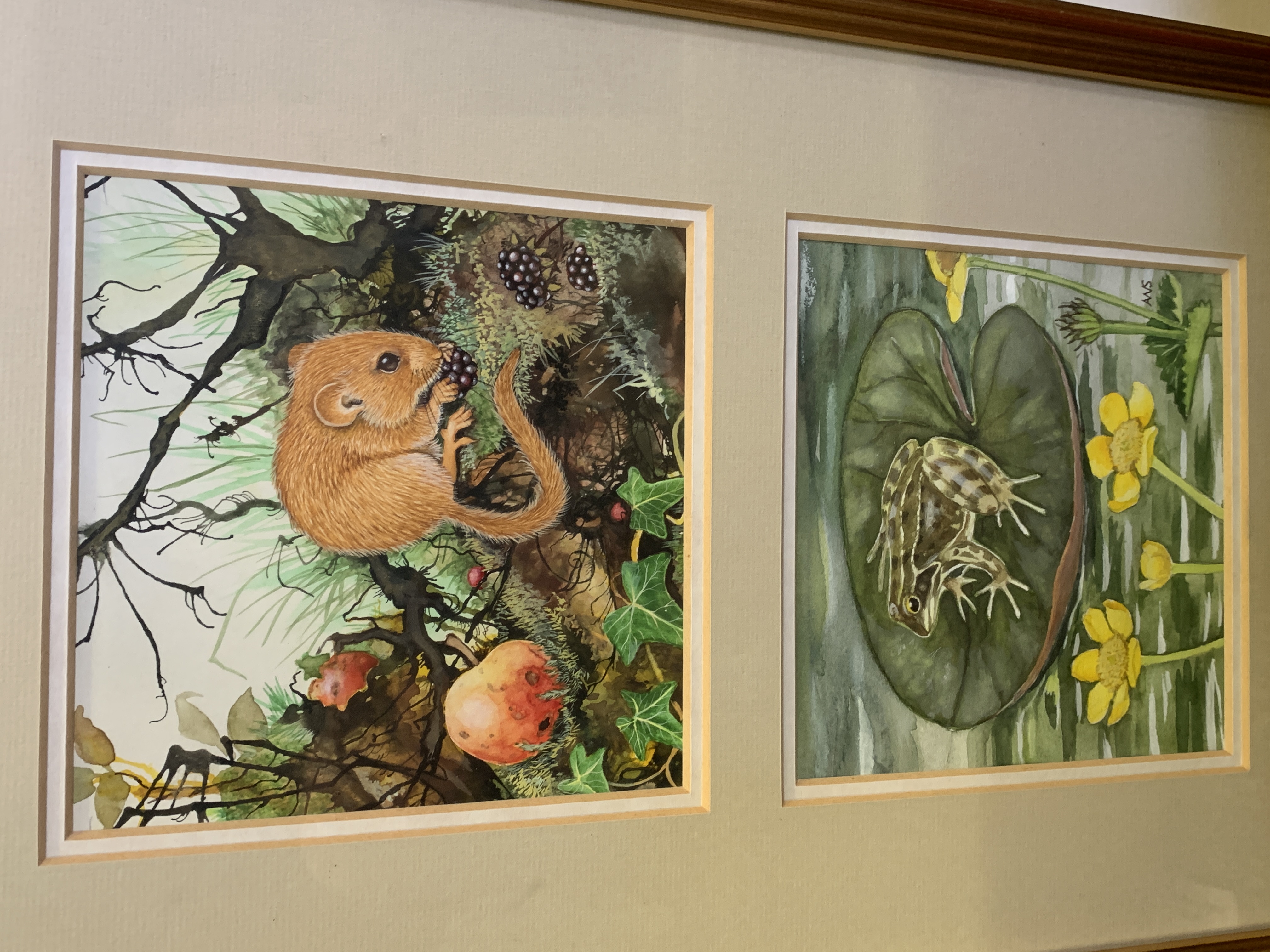 Five framed and glazed watercolours. - Image 4 of 4