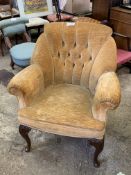 Armchair in buttoned back mustard velvet upholstery on carved cabriole legs