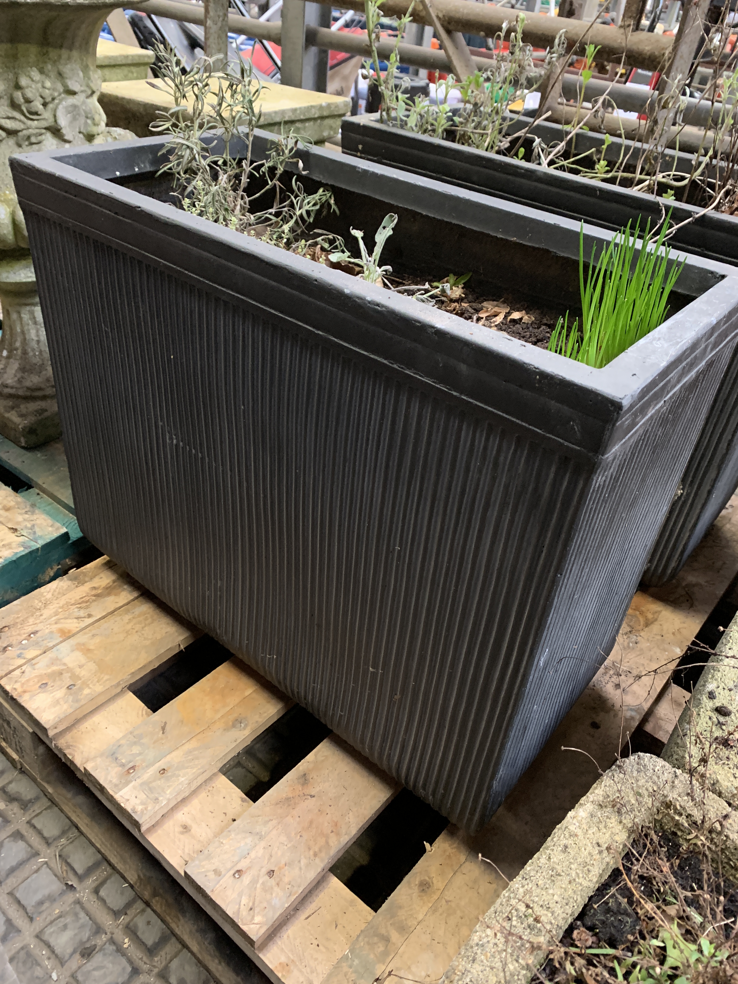 Two filled large ceramic style rectangular planters. - Image 2 of 4