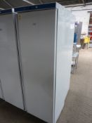 Lowe G2 single door upright freezer.