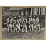 Framed and glazed black and white photograph of Foxhounds "Quorn 1931"