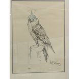 Framed and glazed limited edition print of a bird of prey signed Mark Pearson Cooper
