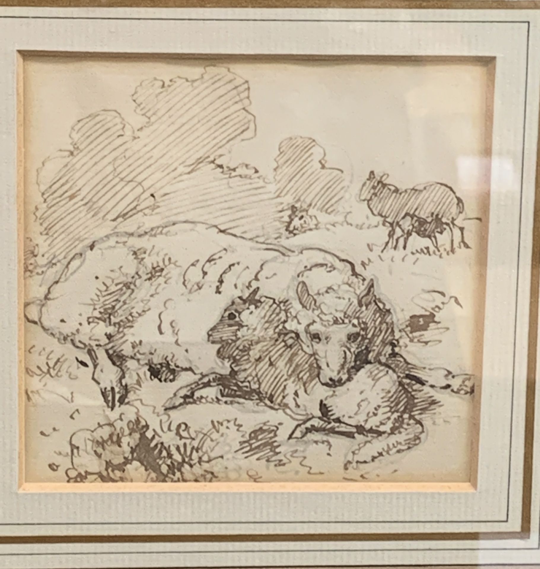 Alfred William Strutt RBA (1856-1924) pen and ink of a ewe and lamb