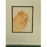 Framed and glazed coloured crayon drawing signed Louis Wain