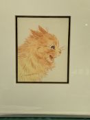 Framed and glazed coloured crayon drawing signed Louis Wain