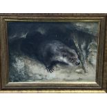 Oil on canvas of an otter and a pencil drawing of an otter, both signed John Edwards