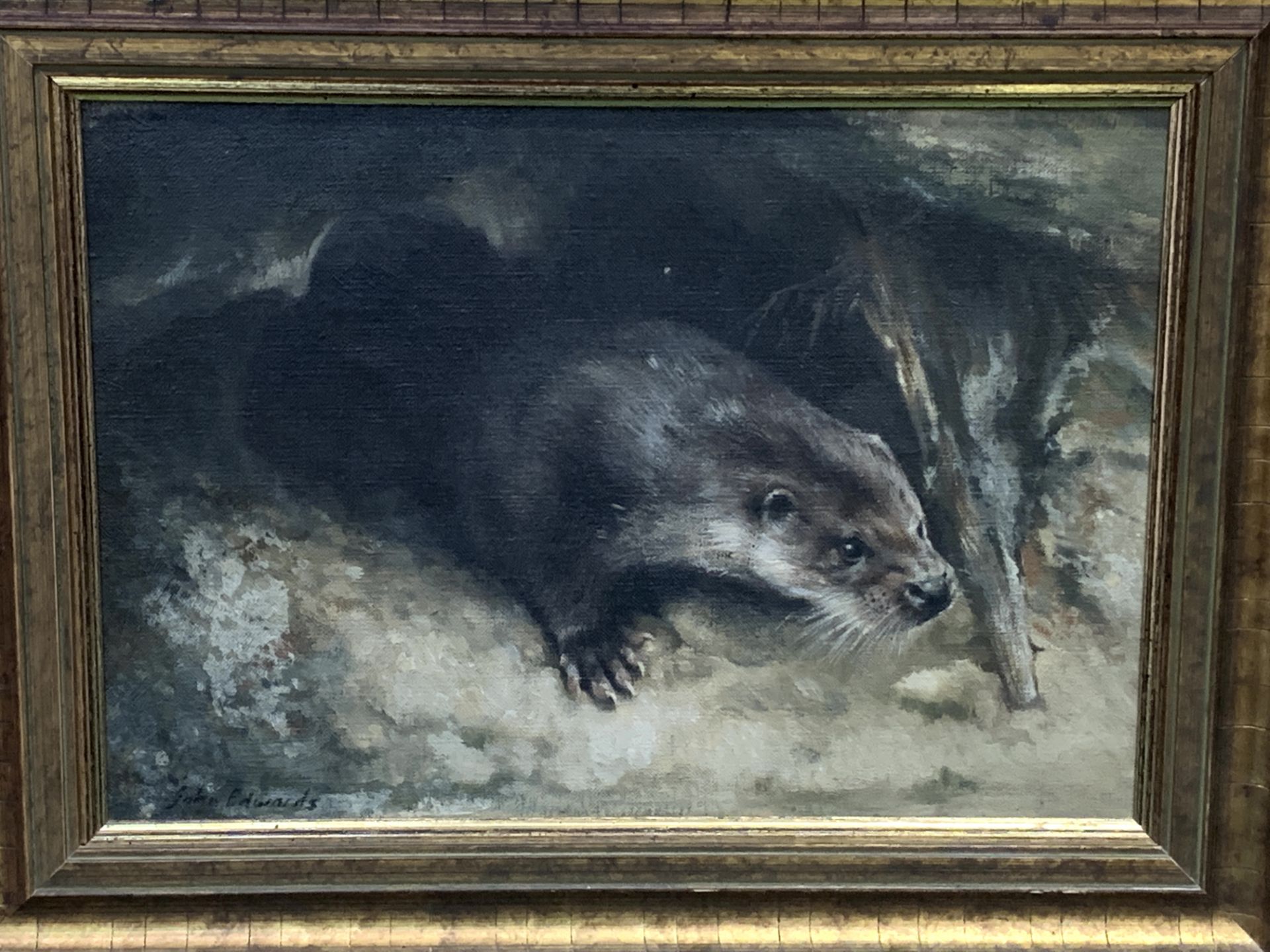 Oil on canvas of an otter and a pencil drawing of an otter, both signed John Edwards