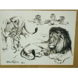 Four framed and glazed animal prints by W Timym